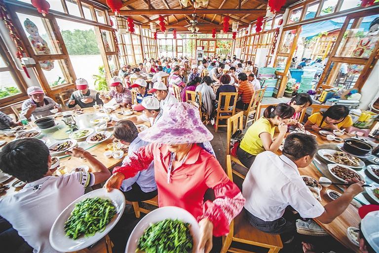 为什么大家都不去“农家乐”了？