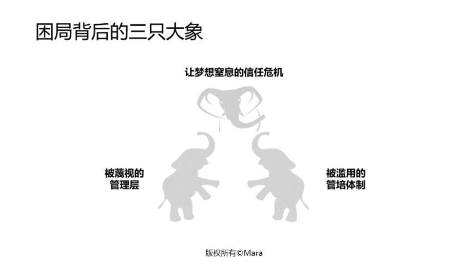 京东困局的背后：房间里的三只大象
