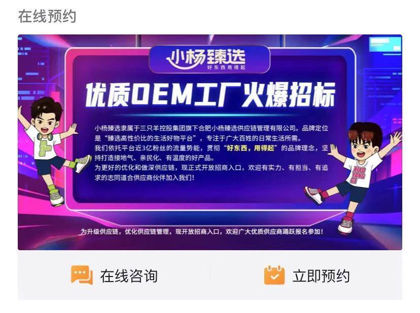 时代里的小杨哥