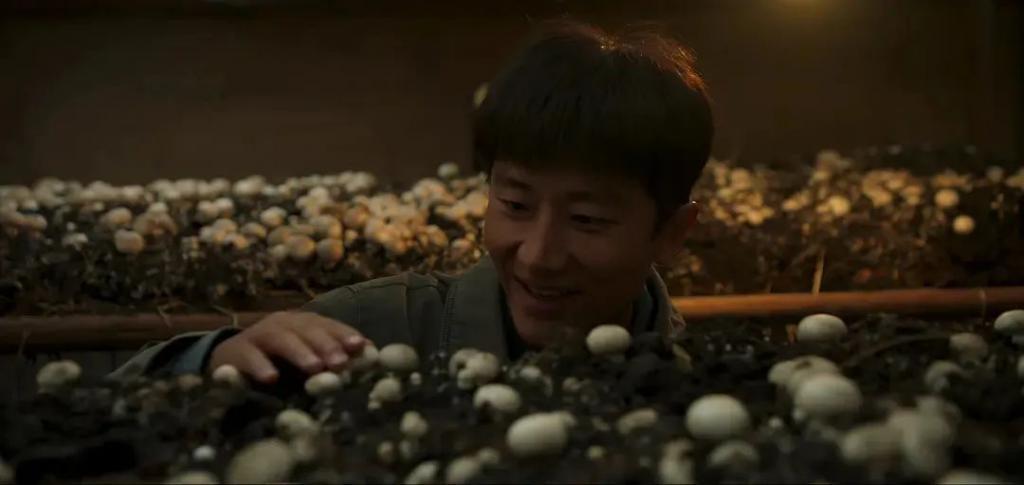 国剧“种田”，网文过年
