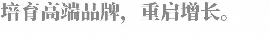 从东莞这个隐形冠军，看中国如何守住制造业