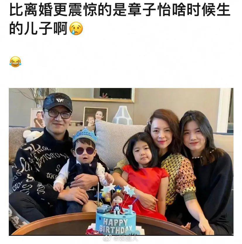 章子怡新片《酱园弄杀夫案》或成最大赢家