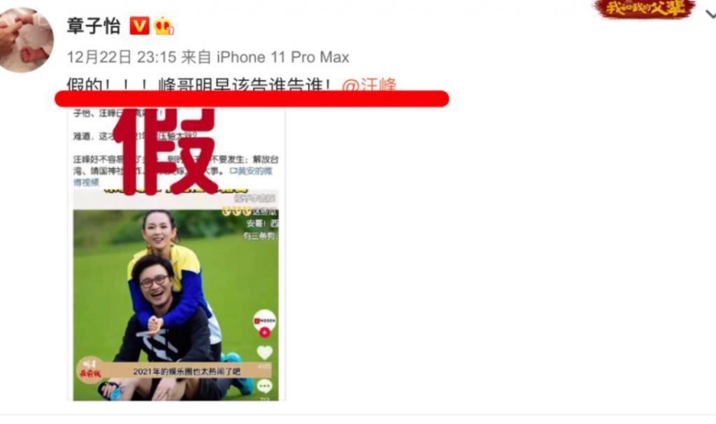 章子怡新片《酱园弄杀夫案》或成最大赢家