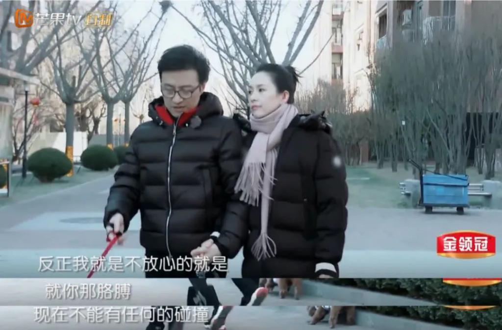 章子怡新片《酱园弄杀夫案》或成最大赢家