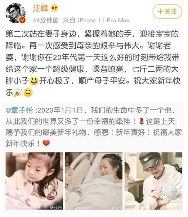 章子怡新片《酱园弄杀夫案》或成最大赢家
