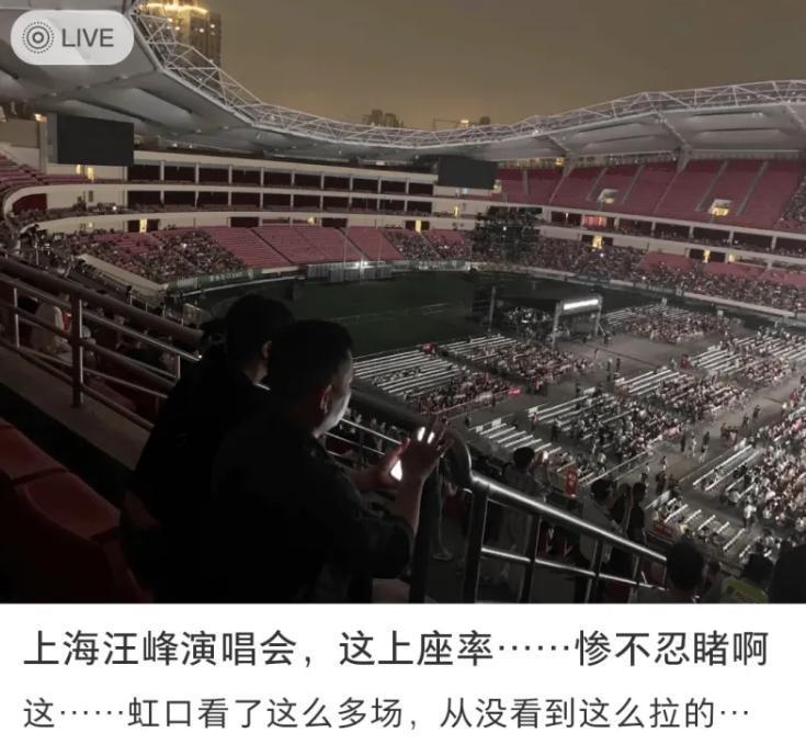 章子怡新片《酱园弄杀夫案》或成最大赢家
