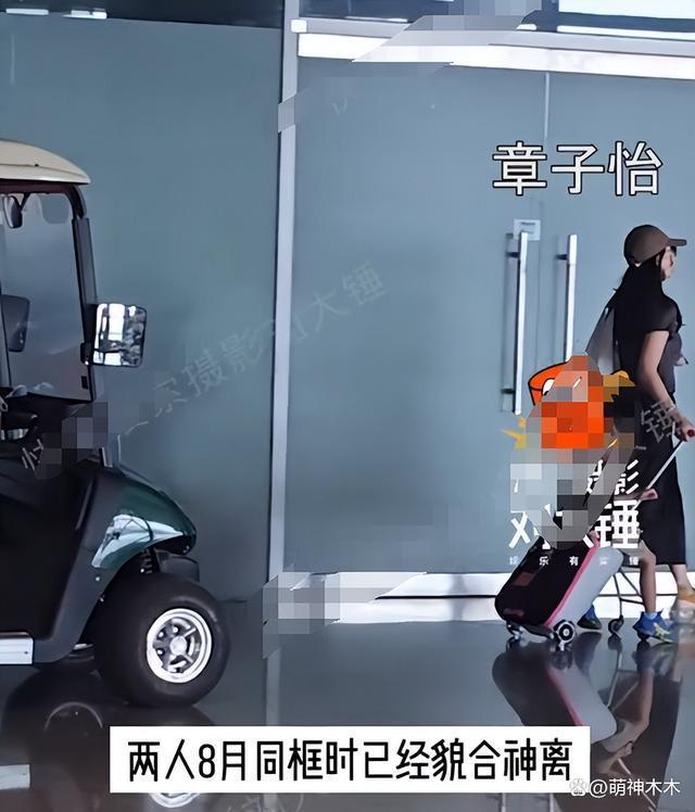 章子怡汪峰离婚升级！同框互不理睬，前妻呼吁别影响孩子