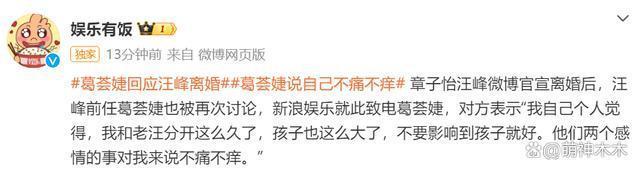 章子怡汪峰离婚升级！同框互不理睬，前妻呼吁别影响孩子