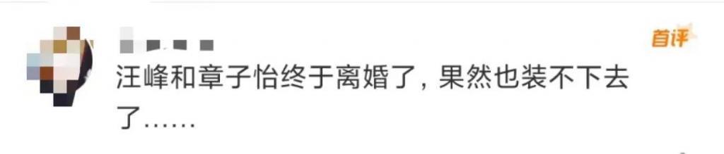 章子怡汪峰官宣离婚太猛了！网友：他们终于装不下去了……
