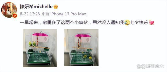 陈晓陈妍希也传婚变？停发生日祝福摘掉婚戒，更多细节被扒