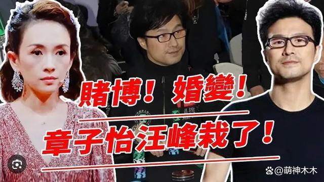 汪峰离婚前妻直言解气，吐槽男方接连出轨，赞章子怡开眼了