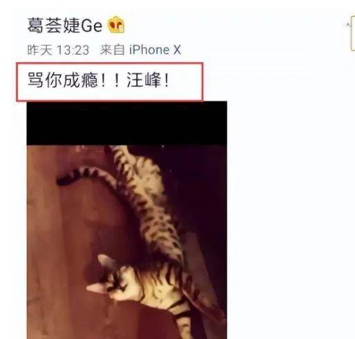 哦豁，他又乱来了？