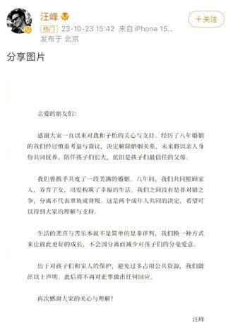 汪峰出轨、章子怡离婚？这个大瓜让人消化不良