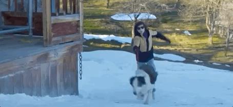 今年的口碑第一，真的没白等