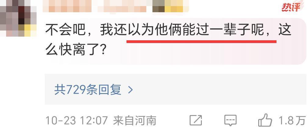 结婚和离婚都让人意外的章子怡