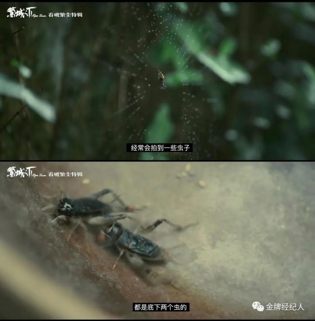 高口碑收官，这部剧到底哪里带感