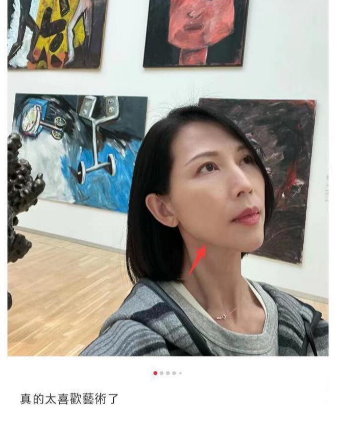 50岁蔡少芬迪士尼被偶遇，素颜看上去比张晋年轻10岁！
