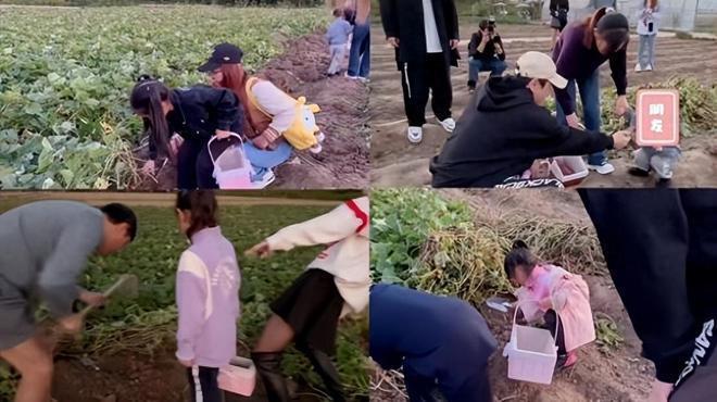 陈赫夫妇承包农场为女儿庆生!范志毅朱桢带妻儿参加