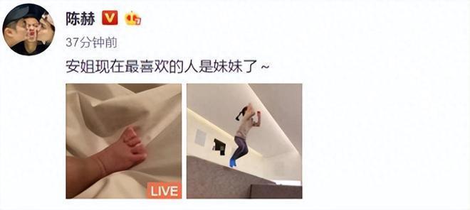 陈赫夫妇承包农场为女儿庆生!范志毅朱桢带妻儿参加
