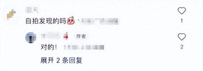 郭碧婷现身化鬼脸妆仍难掩憔悴 女儿被向佐抱怀中