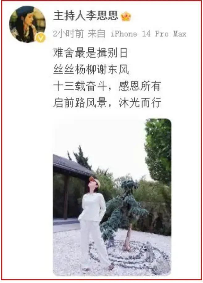 “央视花旦”离职的真相！