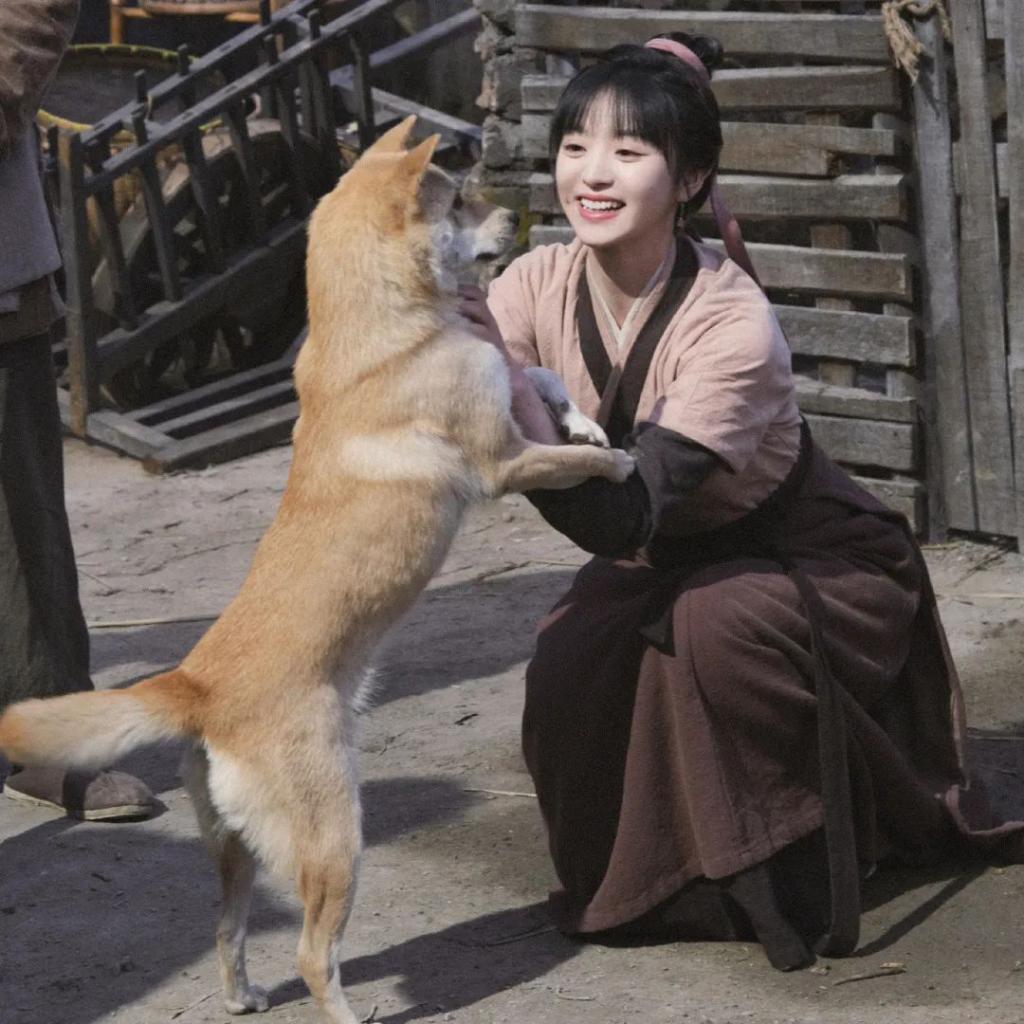 穿越 种地，好看、爱看会拍就多拍点！！！