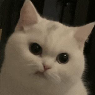 又被全网骂了？是喜事呀……