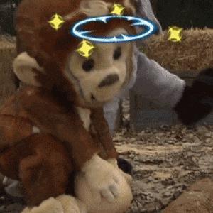 又被全网骂了？是喜事呀……