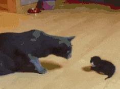 又被全网骂了？是喜事呀……