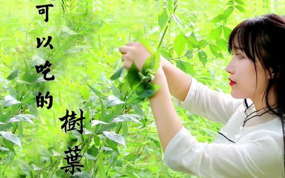 她还能上桌？