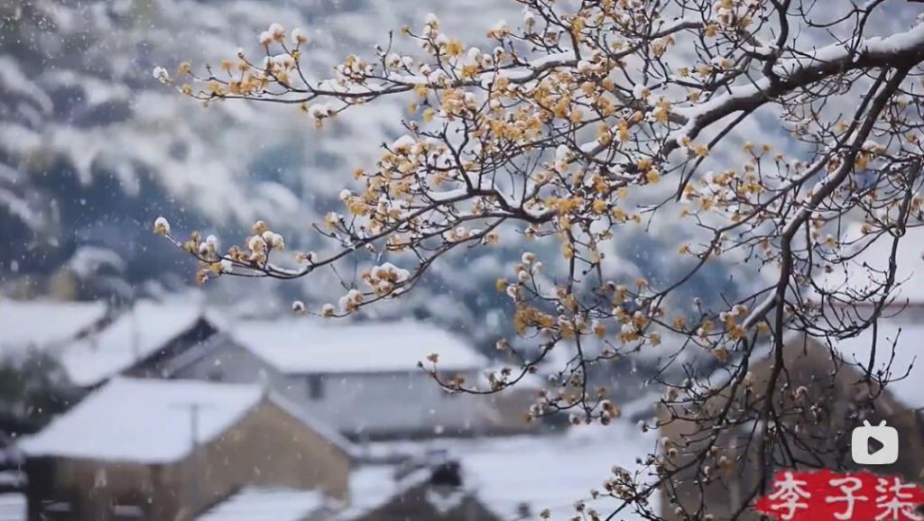 她还能上桌？