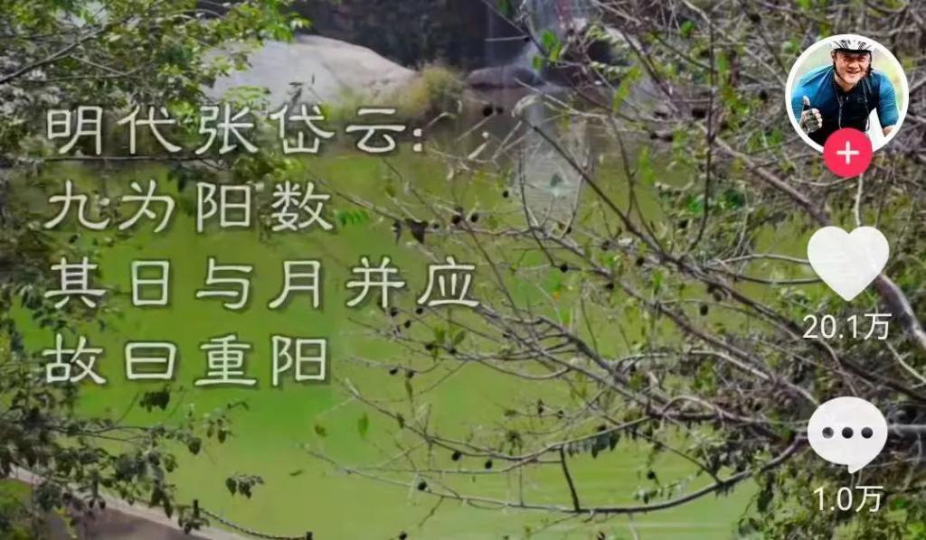 离婚大瓜之后，这内娱顶流塌了