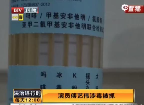 傅艺伟儿子，被曝离世！