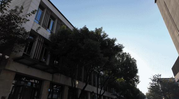 时隔三年，大疆又做了一款好玩的“玩具”！