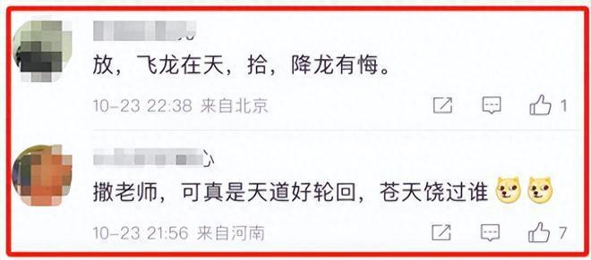 章子怡离婚，网友集体冲进撒贝宁评论区，各种神评太好笑了