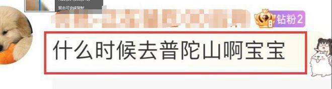 张智霖夫妇现身普陀山！张智霖白发冷脸，发文疑暗指不顺
