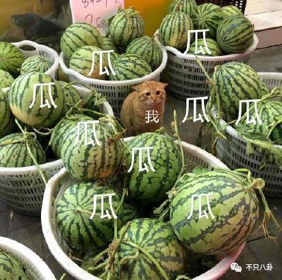 出轨又涉毒？塌得够彻底啊！