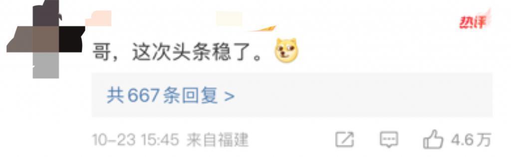 章子怡，成为汪峰妻子的8年