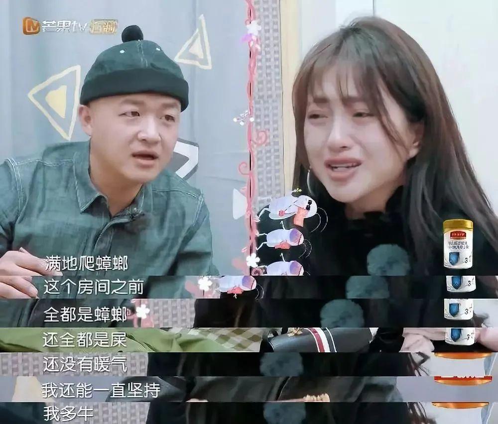 不是吧！又又又又离婚了？
