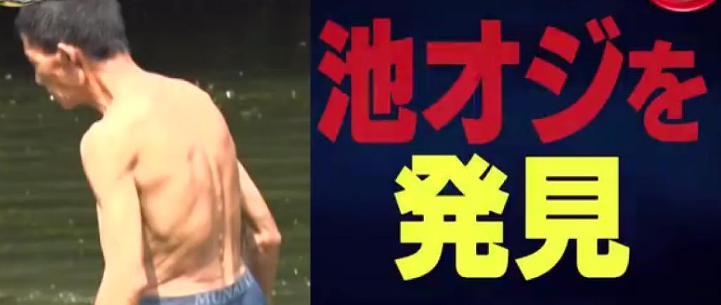 全程高能，中国女明星大闹日本综艺