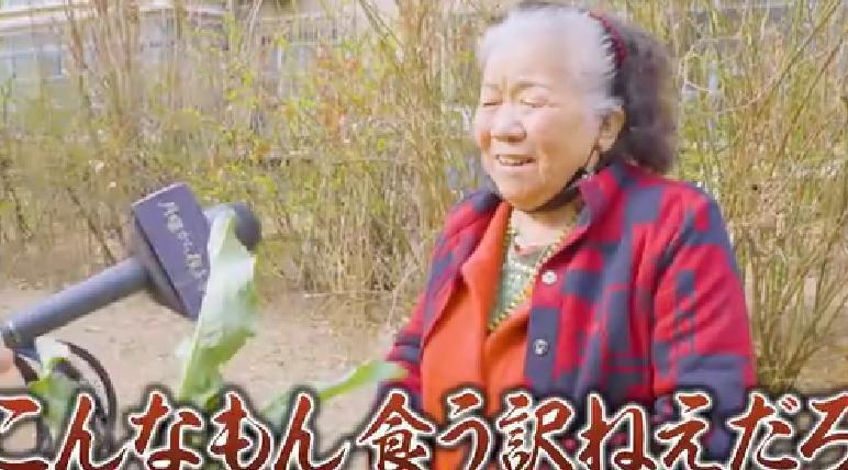 全程高能，中国女明星大闹日本综艺