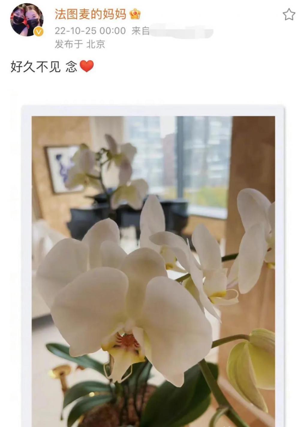 哈文连续5年发文悼念李咏，坚持不再婚，回国后感慨回家真好