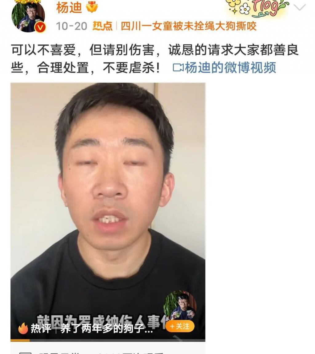 每年四千万人被犬咬伤，杨迪沈月却在表演爱心，他们在掩饰什么