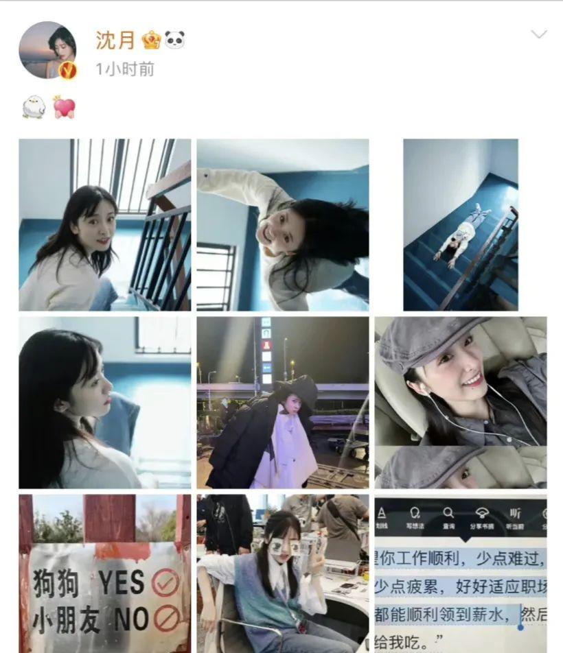 每年四千万人被犬咬伤，杨迪沈月却在表演爱心，他们在掩饰什么