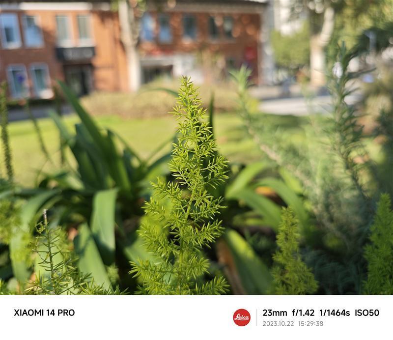 龙晶玻璃10倍耐摔！小米14 Pro全面评测：小米三年高端探索的完美答卷