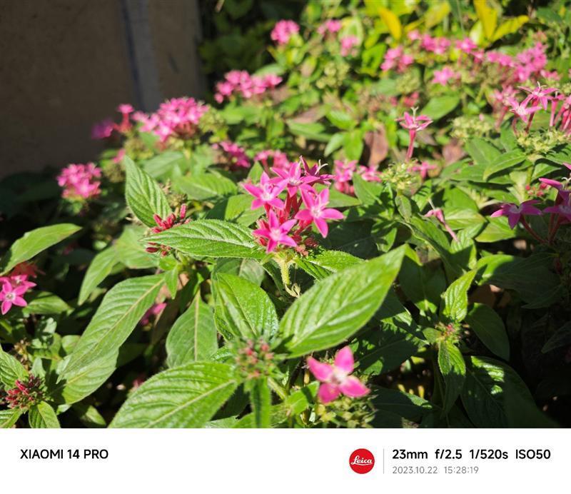 龙晶玻璃10倍耐摔！小米14 Pro全面评测：小米三年高端探索的完美答卷