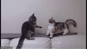 一退出中国，跨国车企就支棱起来了？