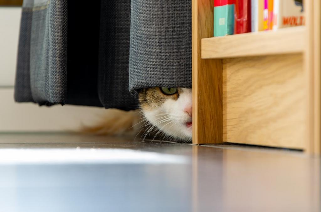年轻人沉迷的“猫鼠游戏”，养活了谁？