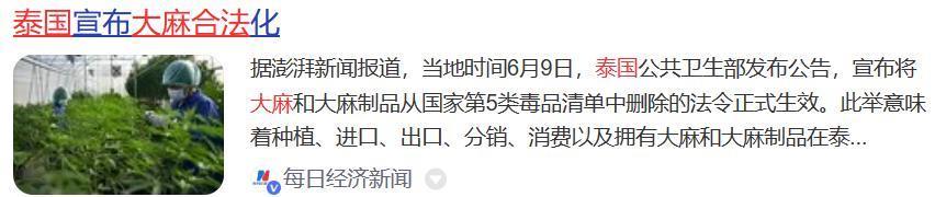 韩国为什么那么多吸毒的？