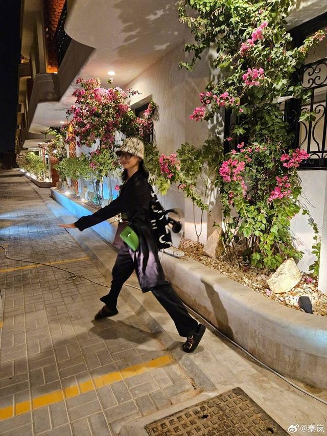 辛芷蕾秦岚互拍和谐有趣 二人穿搭休闲时髦又低调